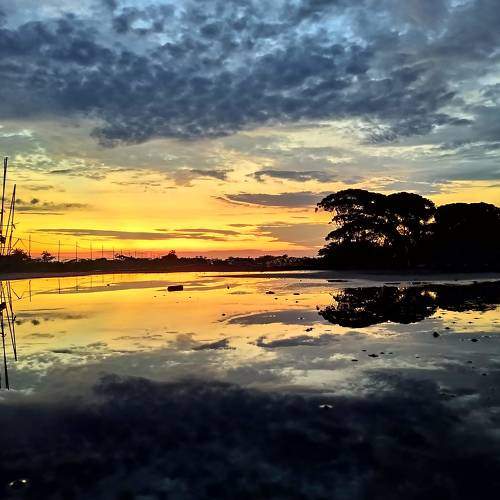 Photo #7041242