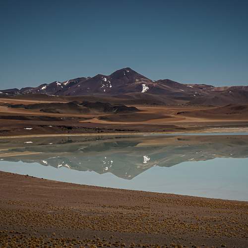 Photo #7041370