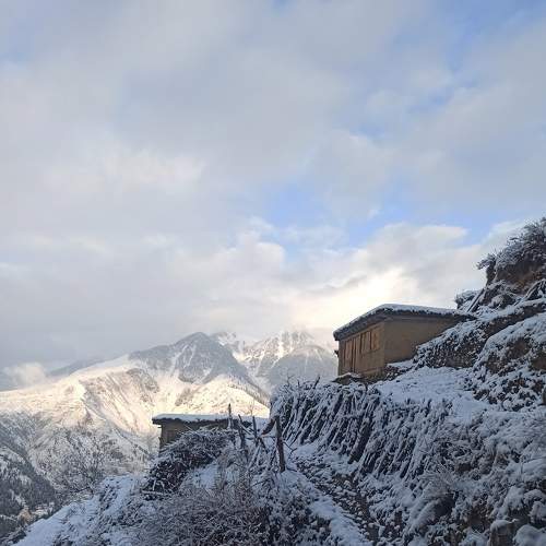 Nature under snow