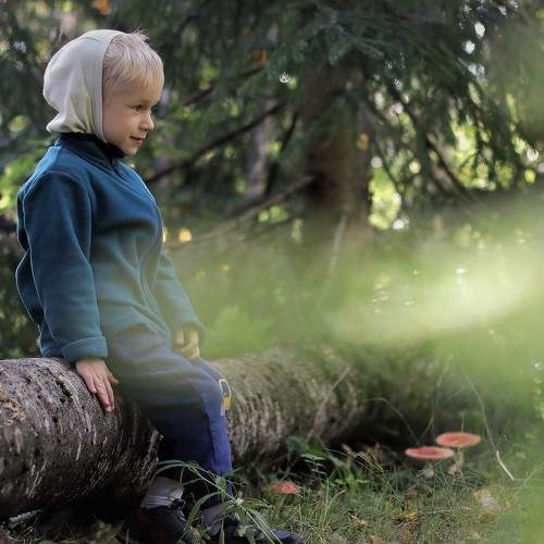Photo #7041477