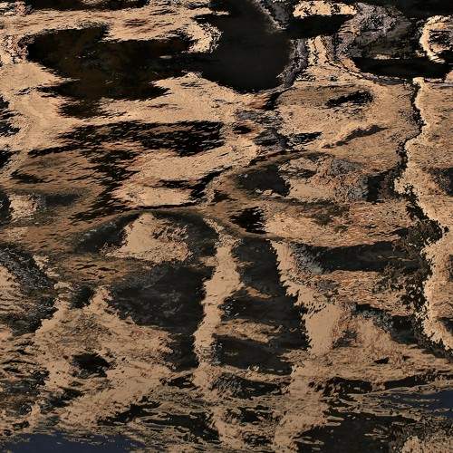 Photo #7041486