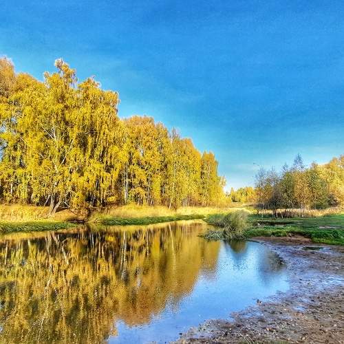 Photo #7041623