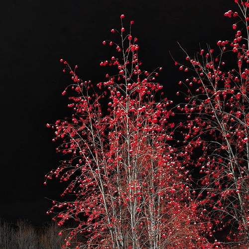 Photo #7041851