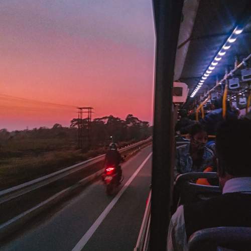 Photo #7042023