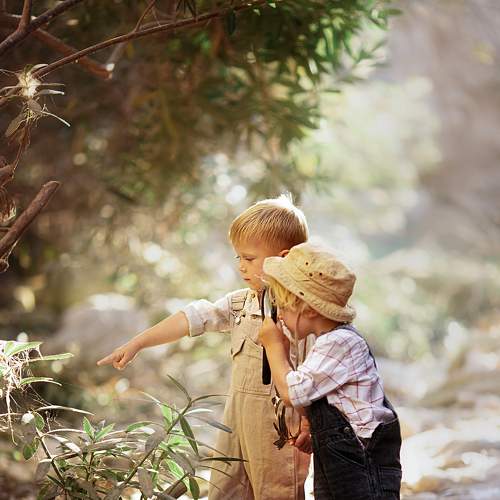 Photo #7042056