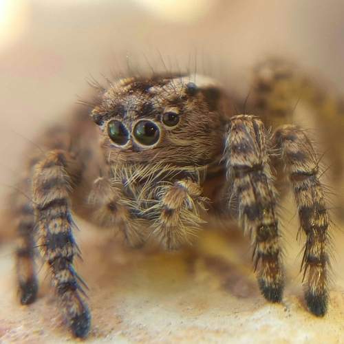 Photo #7042425