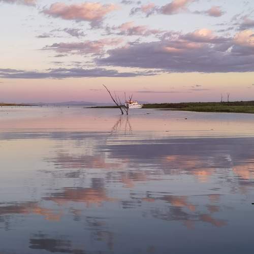 Photo #7042445