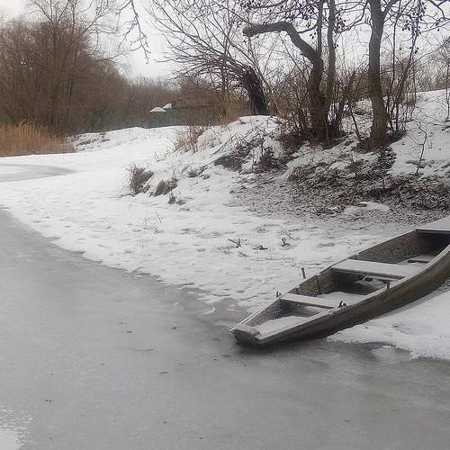 Photo #7042480