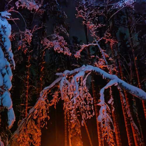 Photo #7042969
