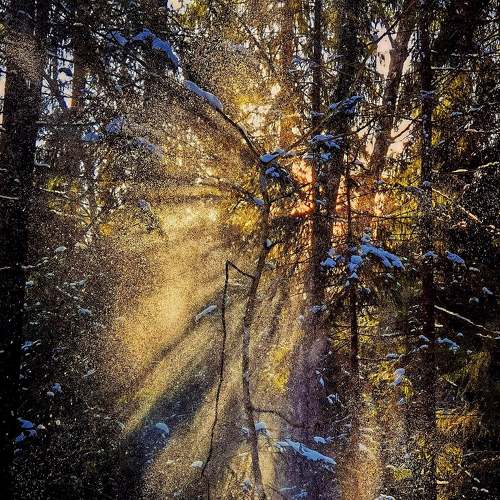 Photo #7043032