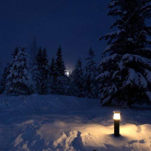 Photo #7043077