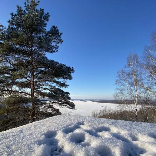 Photo #7043203