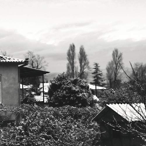Photo #7043576