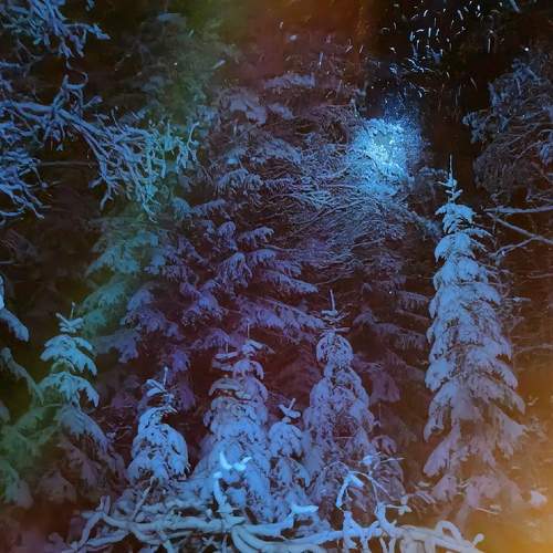 Photo #7043672