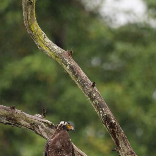 Photo #7043705
