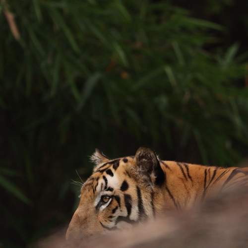 Photo #7043706