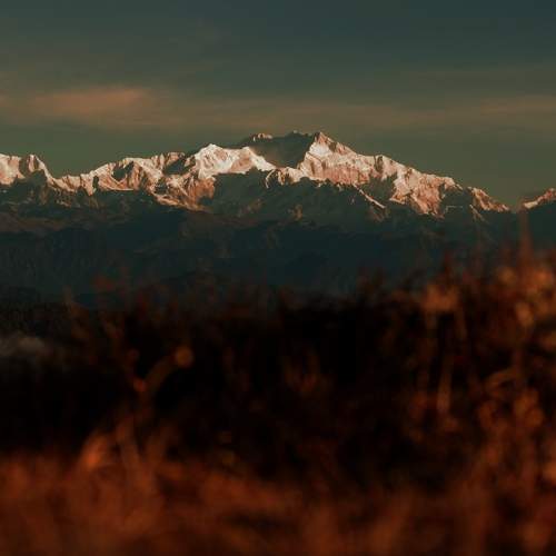 Photo #7043879