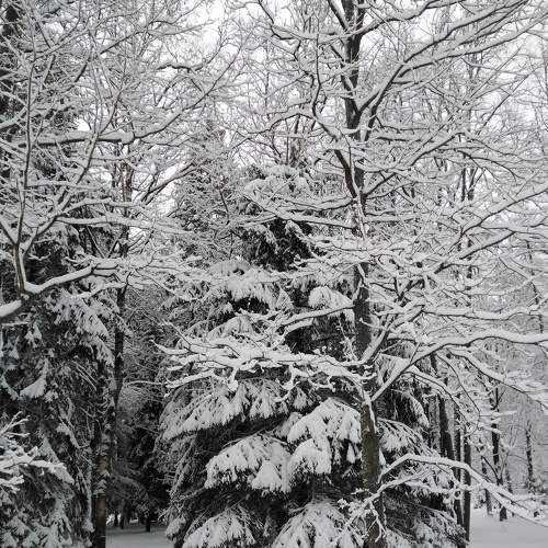 Photo #7044404