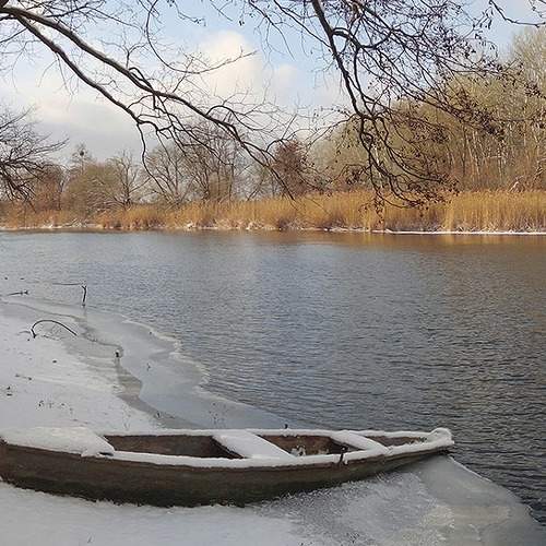 Photo #7044835