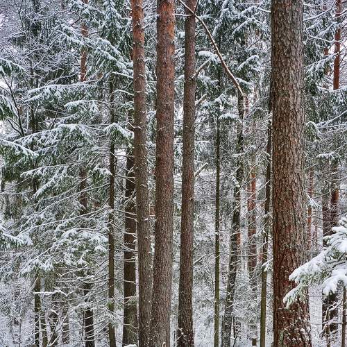Photo #7044896