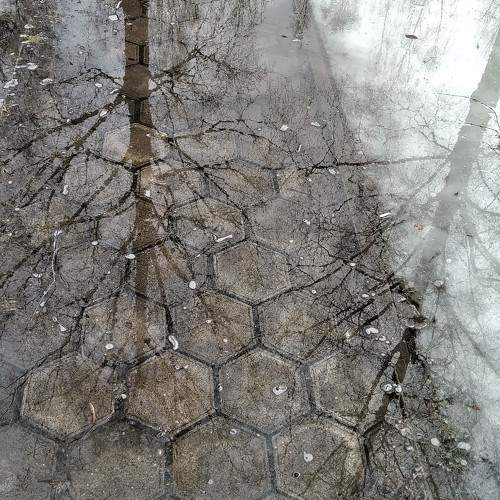 Photo #7046382