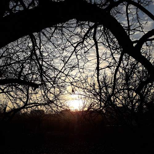Photo #7046569