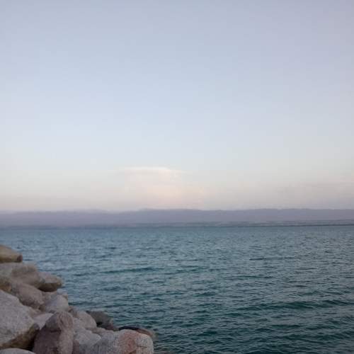 Photo #7046577