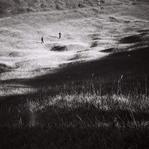 Photo #7046716
