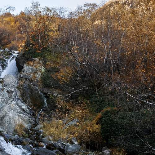 Photo #7046957