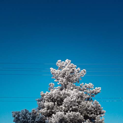 Photo #7047124