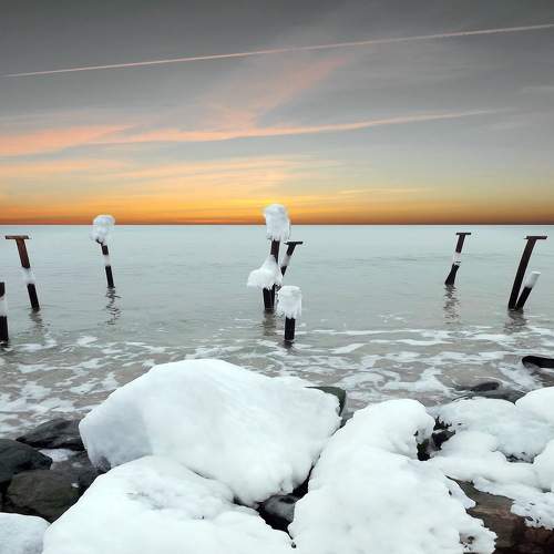 Photo #7047369