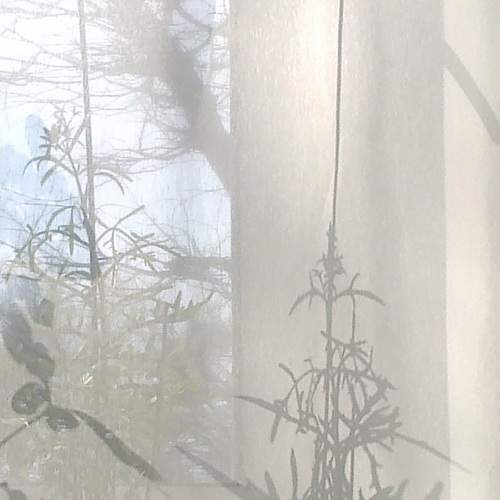 Photo #7047382