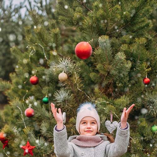 Photo #7047386