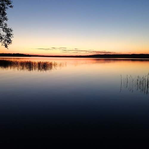Photo #7047450