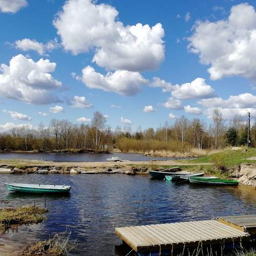 Photo #7047471