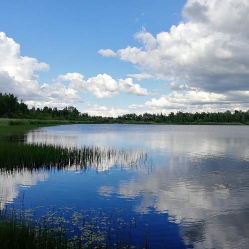 Photo #7047485