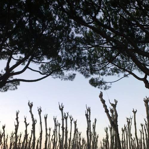 Photo #7047499