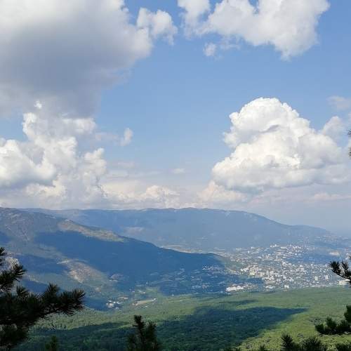 Photo #7047551