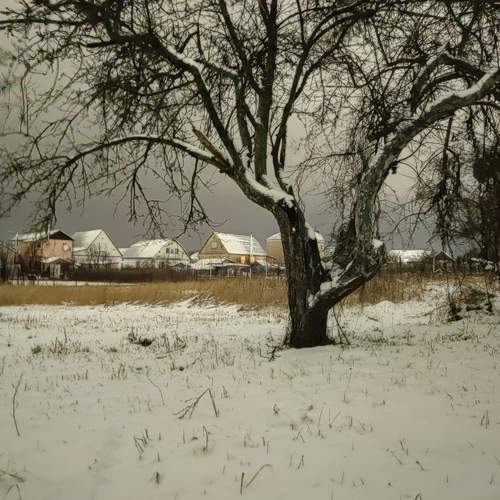 Photo #7047555