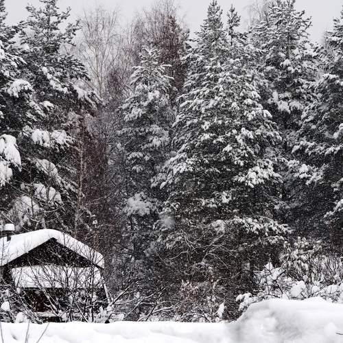 Photo #7047564