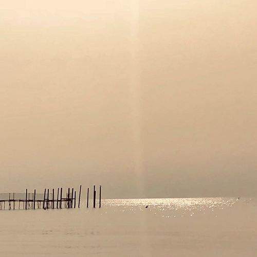 Photo #7047569