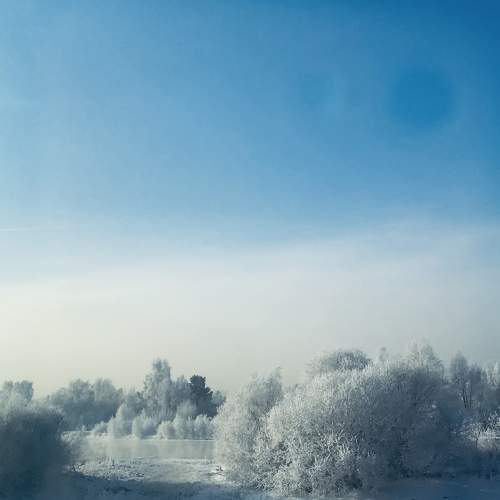 Photo #7048074