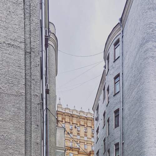 Photo #7048087