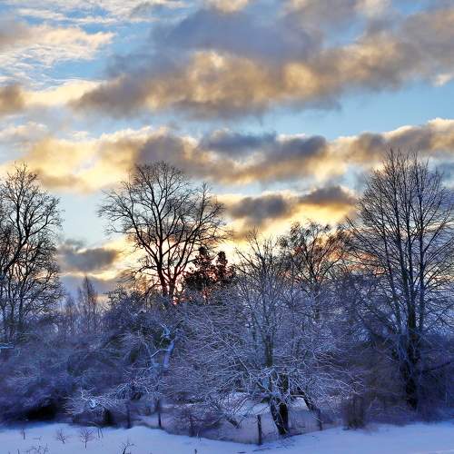 Photo #7048270