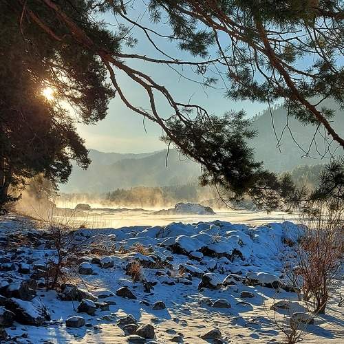 Photo #7048558