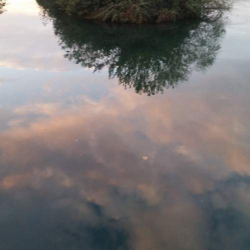 Photo #7048641