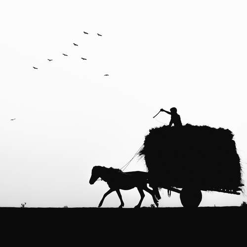 Фотография #7048710