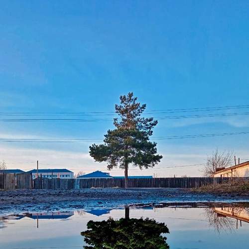 Photo #7048781