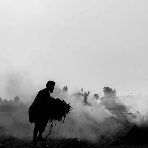 Фотография #7048881