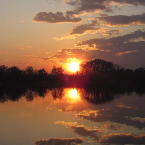 Photo #7049099